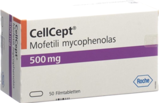 cellcept generique