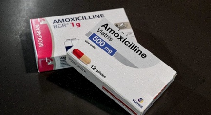 Boîte Amoxicillin 250 mg